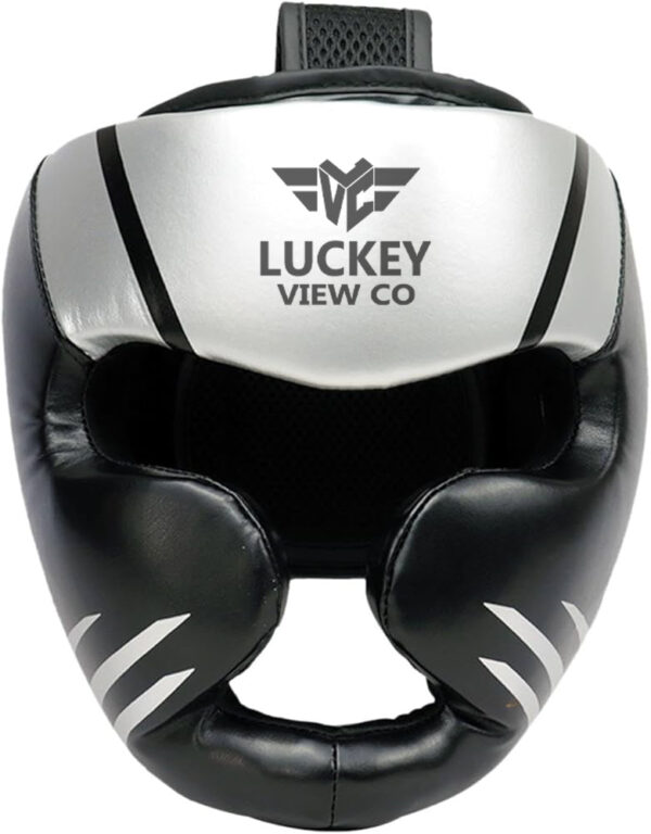 Boxing Helmet